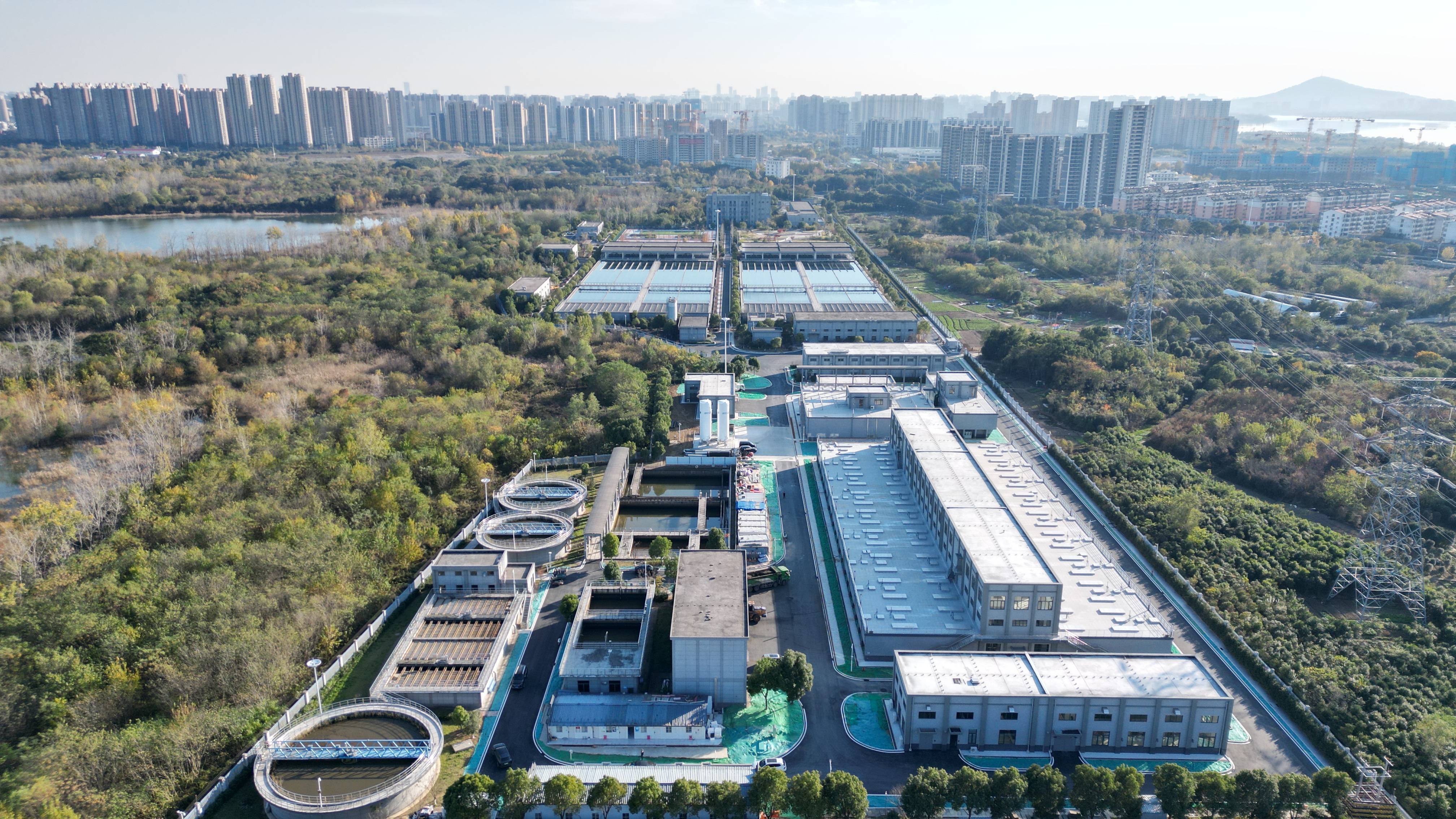 楚雄市合肥专业企业价值增长(合肥市重点企业产业目录)