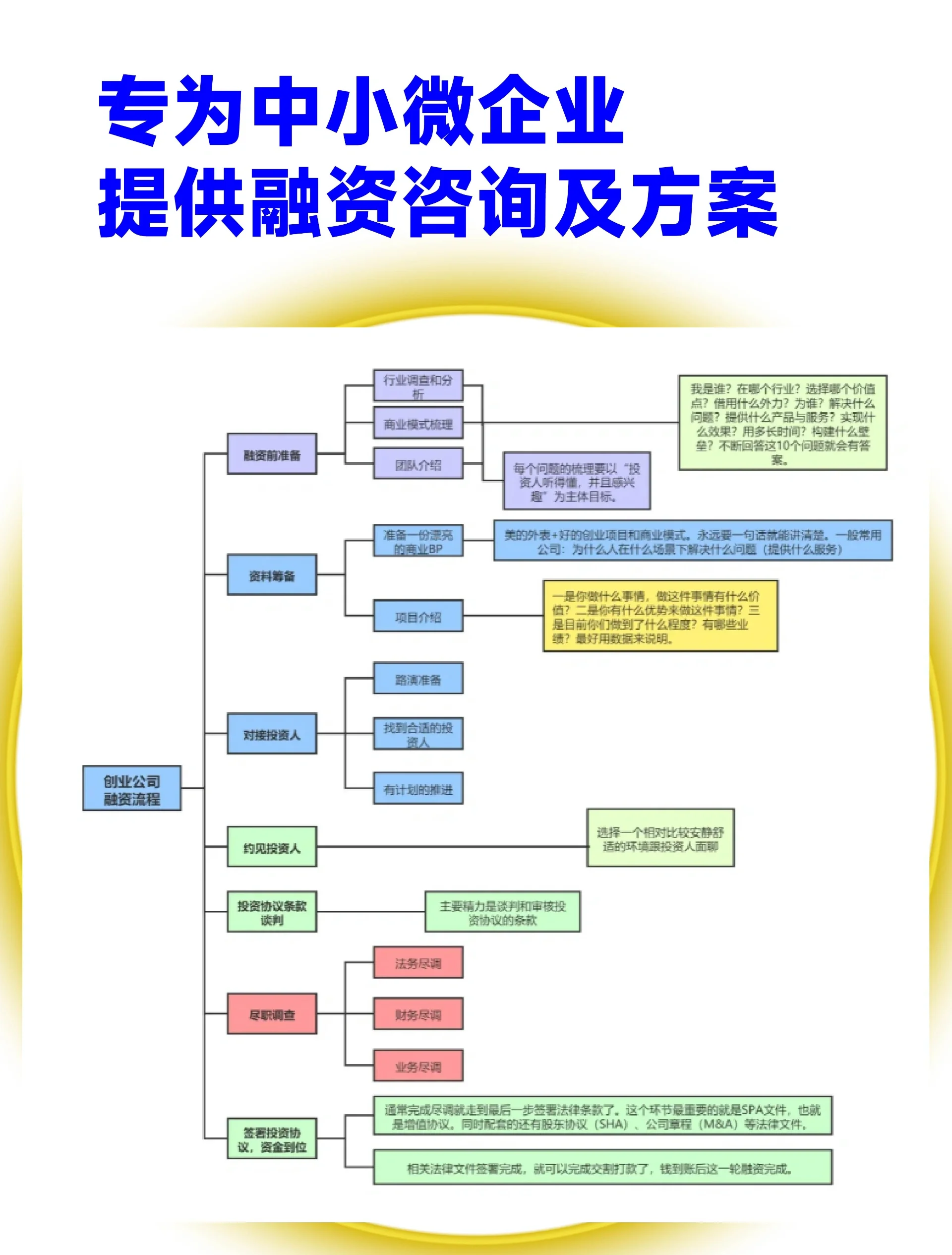 楚雄市宠物企业资金管理(宠物管理机构叫什么)
