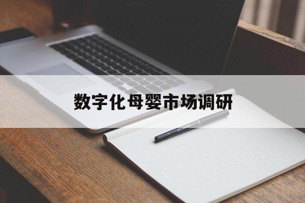 楚雄市数字化母婴市场调研(数字化母婴市场调研报告)